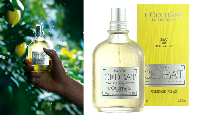 この夏の男を爽やかに変身させる香りは、大人のシトラス“セドラ”｜L’OCCITANE ギャラリー