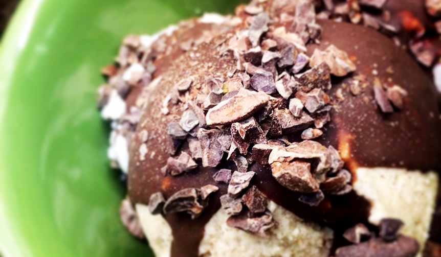 Dairy-Free, Healthy Ice Cream Rich in Raw Honey and Coconut Cream | KIPPY'S COCO-CREAM Gallery