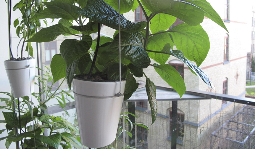 A hydroponic system and planters conceived by the global design firm BIG | DANESE Gallery
