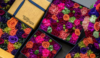 46448c6e-21a0-4236-9051-