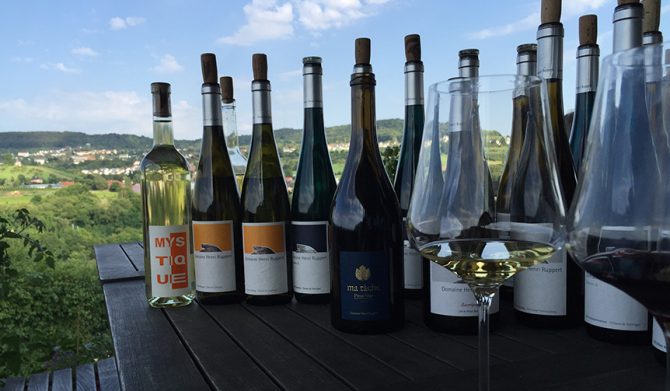 Wine seminar hosted by wine magazine WINE WHAT | LOUNGE