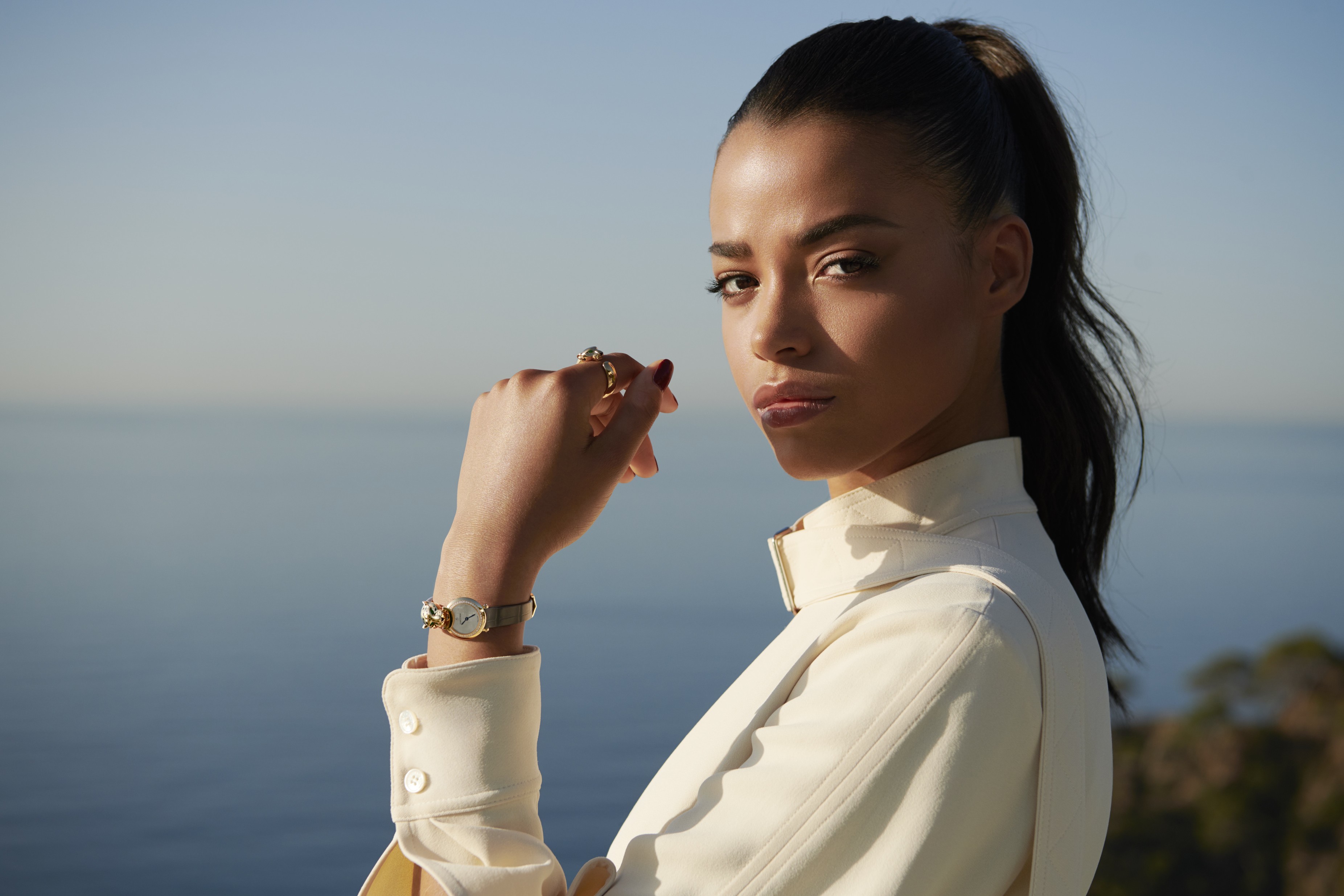 Cartier's New Jewelry Collection: "Panthère de Cartier" | Cartier