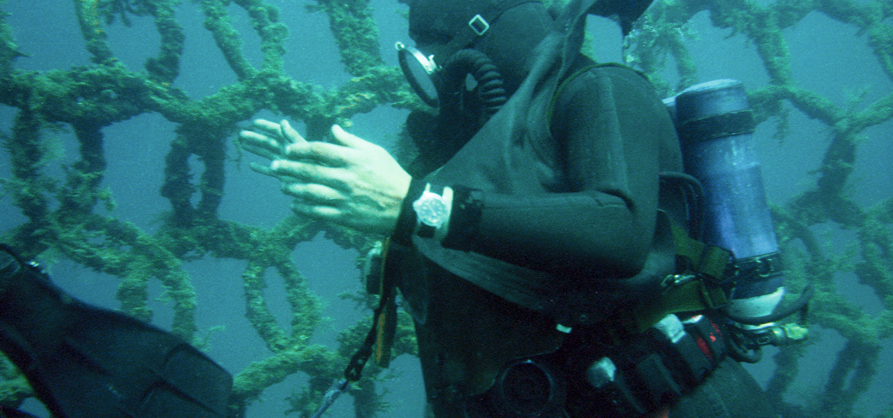 CHAPTER 2: The Origins of Highly Robust, Practical Machines Lay with Divers Models | TUDOR