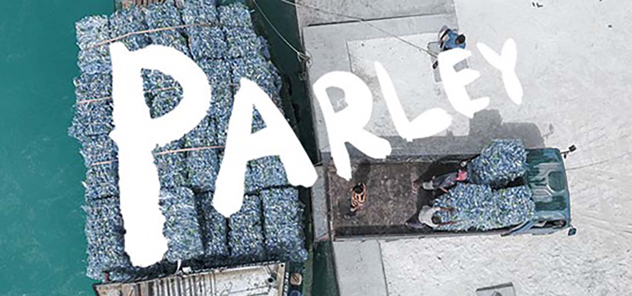 Environmental organization Parley for the Oceans takes over social media channels | Dior