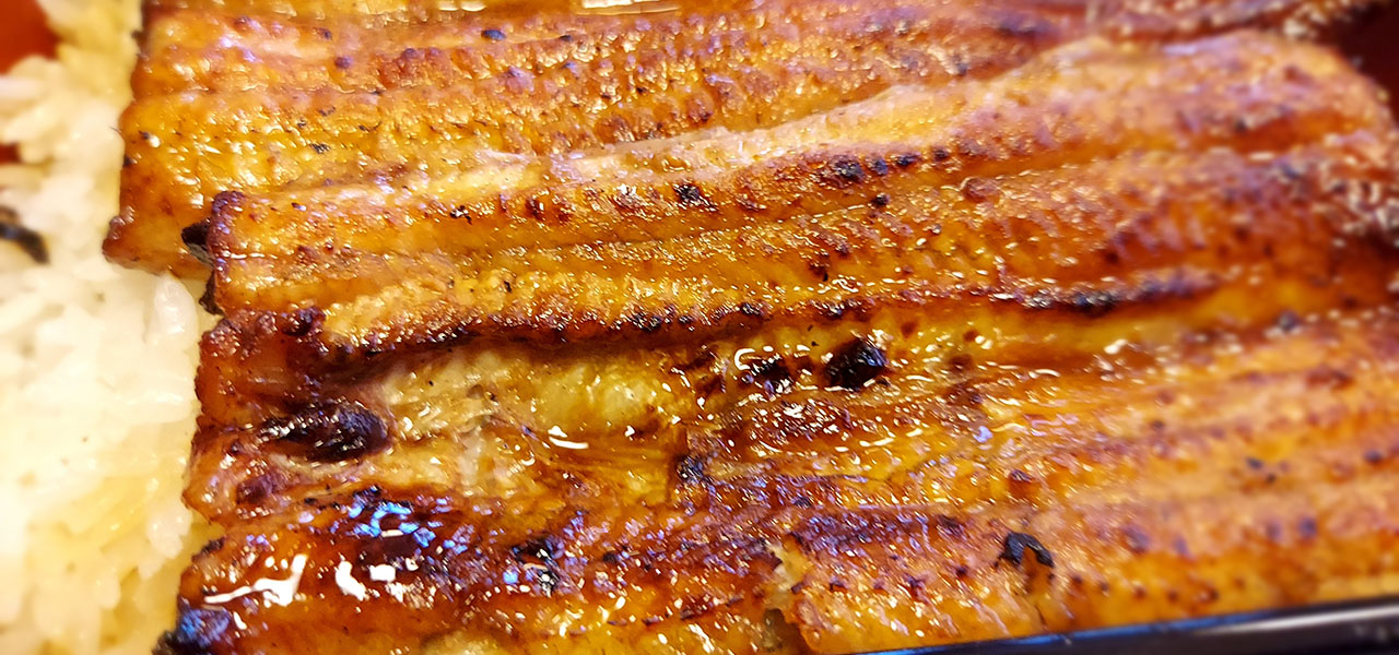 Essay Series | #ijichiman's Musings: "Unagi"