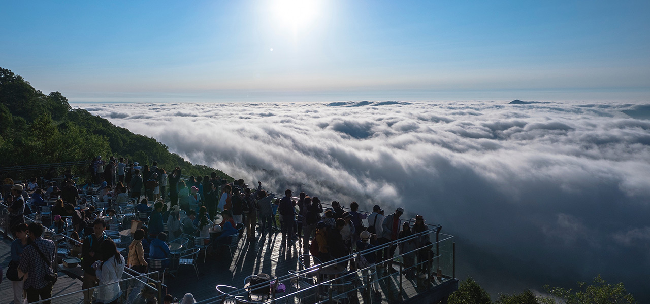 北海道感ほとばしる、 雲海、ファームエリア、ナチュールワイン。夏トマムを満喫するTO DOリスト｜TRAVEL