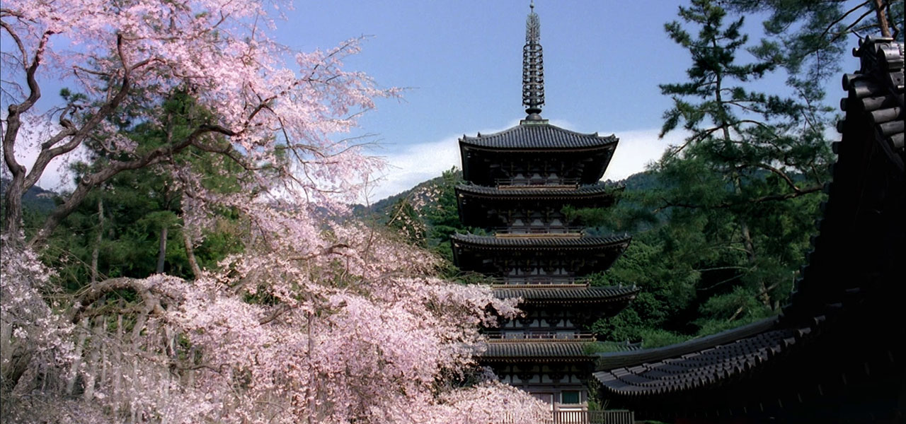 Spring 2023 "Let's Go, Kyoto." Campaign! Tokyo Station and Shibuya Burst into Kyoto Cherry Blossom Bloom. Held from Saturday, February 18th to Friday, June 30th!