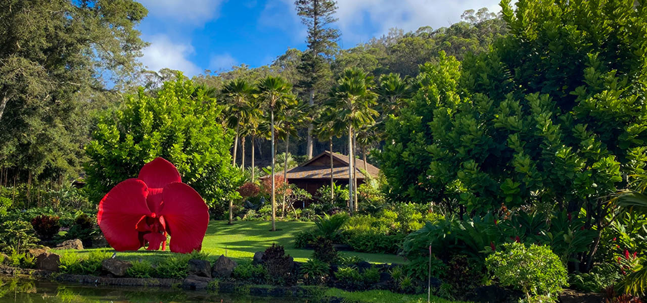 A Place to Reconnect with Humanity Amidst Nature: An Ultimate Luxury Experience at Sensei Lanai, A Four Seasons Resort, Lanai | TRAVEL