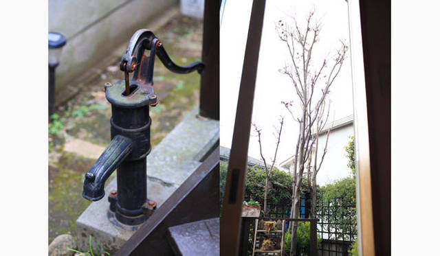 左は「雨水」のポンプ。屋根に降った雨が雨どいを通じて地下のタンクへ。植物の水やりや、断水時のトイレ水に使うなど、雨水活用もエコの一環。右は落葉樹で、夏は陽を遮り、冬は葉が落ちて陽を入れる「パッシブソーラー＝建築的な方法や工夫によって太陽エネルギーを利用するやり方」の植栽