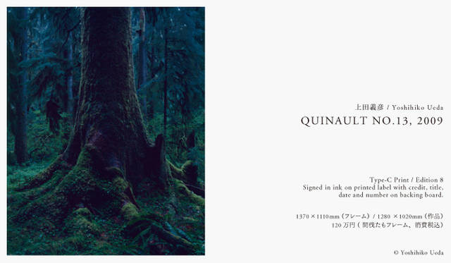 PARCO 40周年記念 more treesチャリティ写真展「TOUCH WOOD」展<br>今回Edition1/8の一点の販売になります