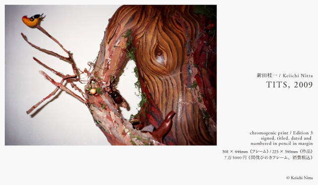PARCO 40周年記念 more treesチャリティ写真展「TOUCH WOOD」展