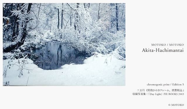 PARCO 40周年記念 more treesチャリティ写真展「TOUCH WOOD」展