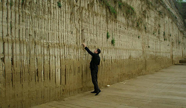 隈 研吾展　Kengo Kuma  　Studies in Organic│隈 研吾氏