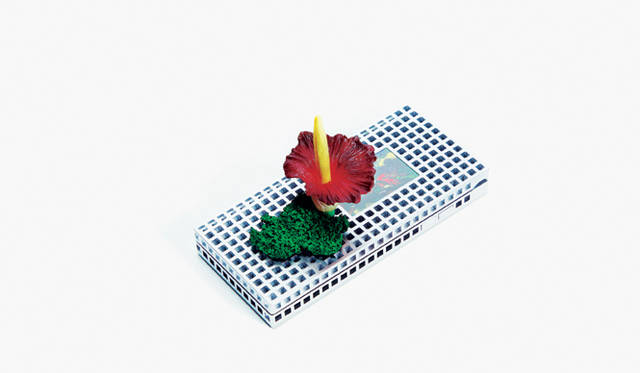 <b>iida LIGHT POOL｜イーダ ライトプール</b>　「Art Editions Concept BOTANICA」東信
