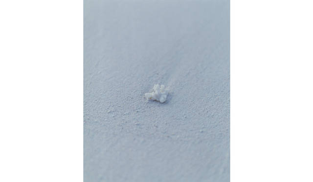 more tree｜六本木アクシスビルでTOUCH WOOD art project 開催　市橋織江 『untitled』 #3 （2007年） Edition10