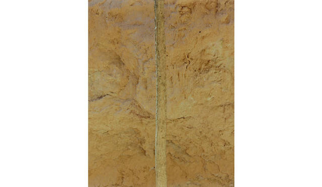 more tree｜六本木アクシスビルでTOUCH WOOD art project 開催　瀧本幹也　『Bryce Canyon』 #4 （2010年） Edition 10