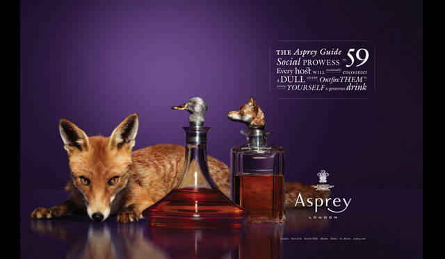 <strong>Asprey｜アスプレイ</strong>　アスプレイイメージビジュアルより。