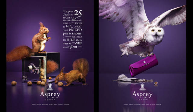 <strong>Asprey｜アスプレイ</strong>　アスプレイ イメージビジュアルより。