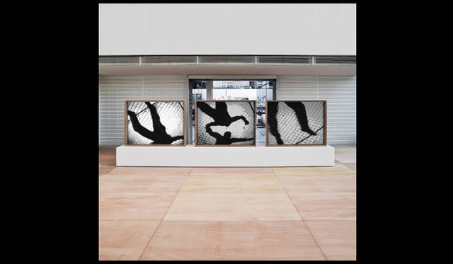 <strong>LOUIS VUITTON｜ルイ・ヴィトン</strong>　「エスパス ルイ・ヴィトン 東京」　グザヴィエ・ヴェイヤン“FREE FALL”。,© Sebastian Mayer