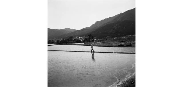 <strong>写心気 036</strong> Photo by 立木義浩