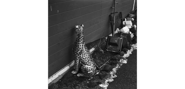 <strong>写心気 045</strong> Photo by 立木義浩