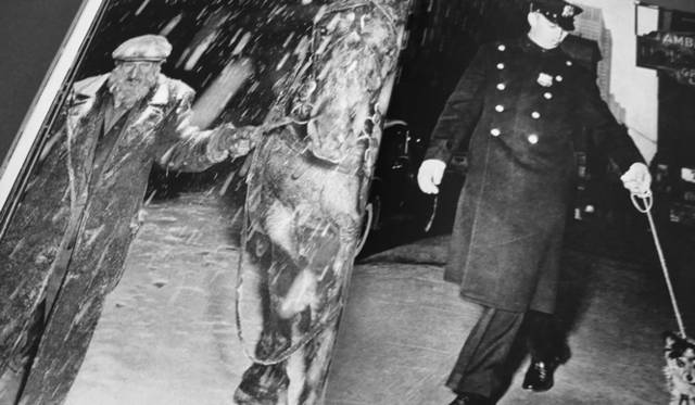 <strong>飯塚ヒデミ写真集コレクション1 Weegee『NAKED CITY』</strong>