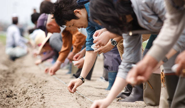 <strong>東北コットンプロジェクト</strong>　6月18日の種まきの様子