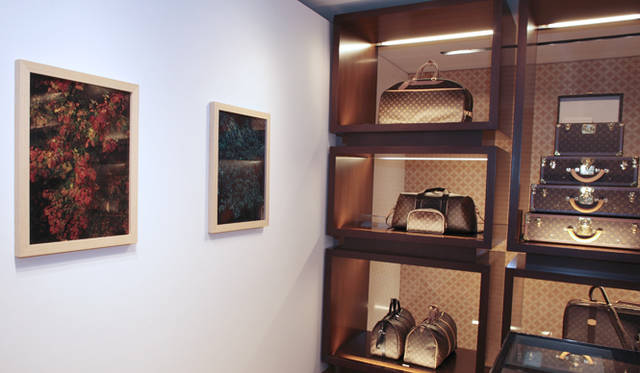 <strong>more trees × LOUIS VUITTON｜「ルイ・ヴィトンの森」の四季を写した写真展</strong>