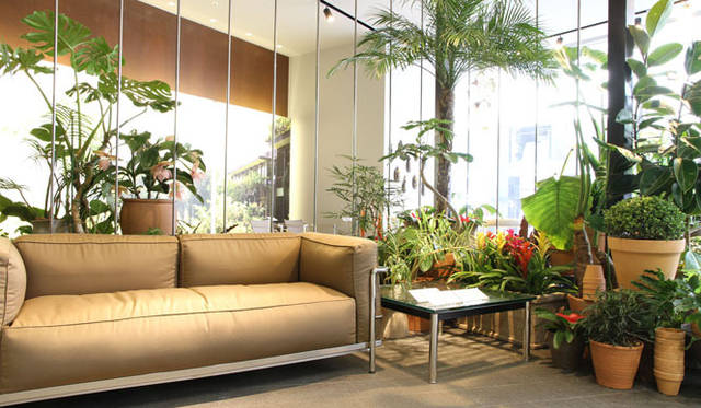 <strong>Cassina ixc.｜カッシーナ・イクスシー</strong>　カッシーナ・イクスシー青山本店1階エントランス