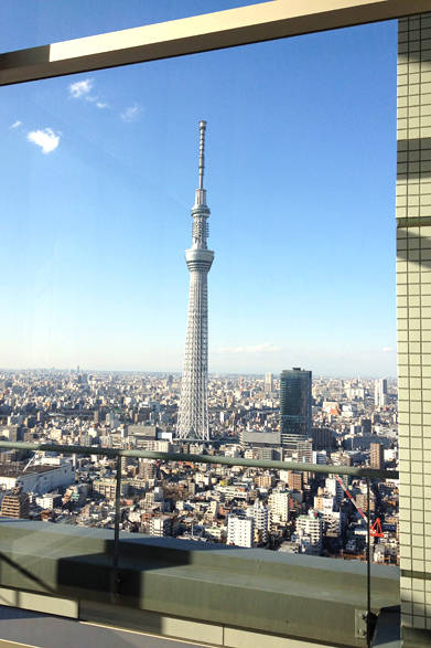 撮れたてほやほや、旬な今日のスカイツリーです。某億ションからのショット