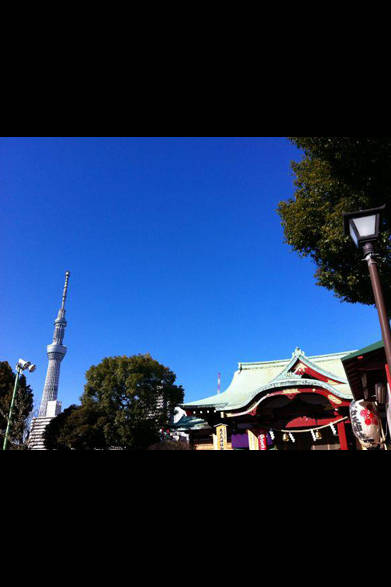 亀戸天神社とスカイツリーのコンビ第2弾です