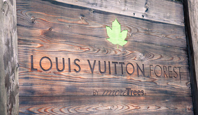 The Louis Vuitton forest marks its fourth year. "If mountains become degraded, their water retention capacity decreases, leading to landslides. Reversing that takes a very long time. Properly maintaining the forest is also a responsibility that comes with human intervention," says Ryuichi Sakamoto.