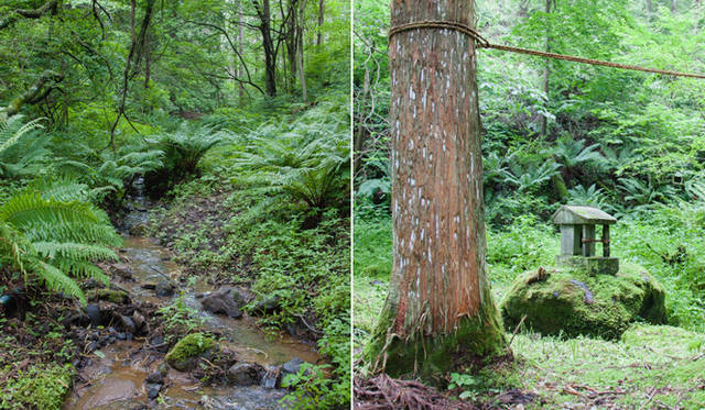 After lunch, we visited the spring near the Louis Vuitton forest. Not far from the spring, a small shrine, likely dedicated to a water deity for ages, stands. Here, water with a hardness of 175, rare in Japan, is sourced. This water is bottled to become the natural mineral water of "LOUIS VUITTON FOREST by more Trees."