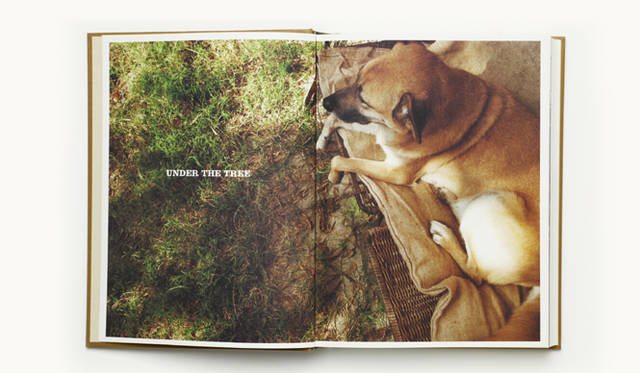 <strong>BOOK｜『TRUCK NEST』</strong>　
