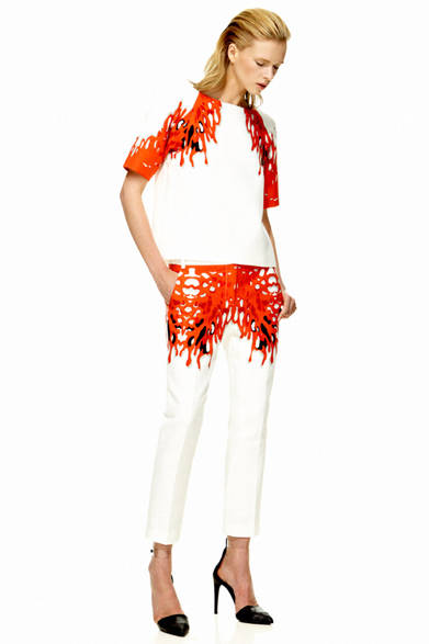 2013 Spring/Summer Pre-Collection