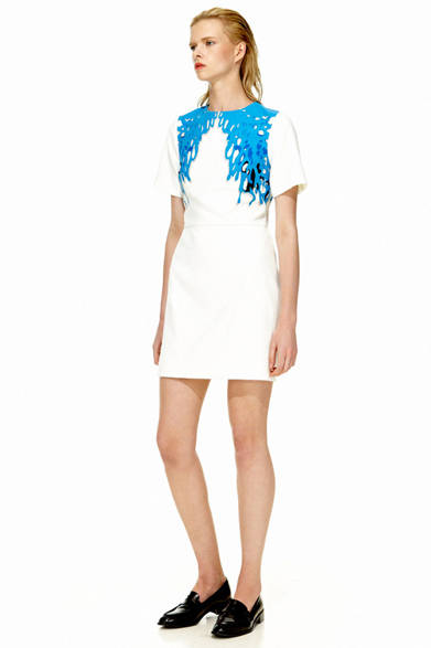 2013 Spring/Summer Pre-Collection