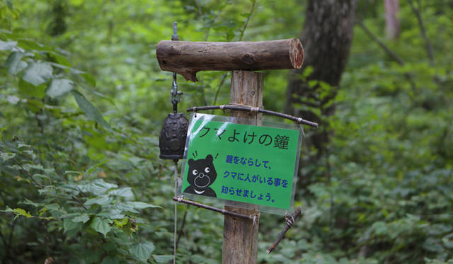  敷地内の森にはツキノワグマが生息する