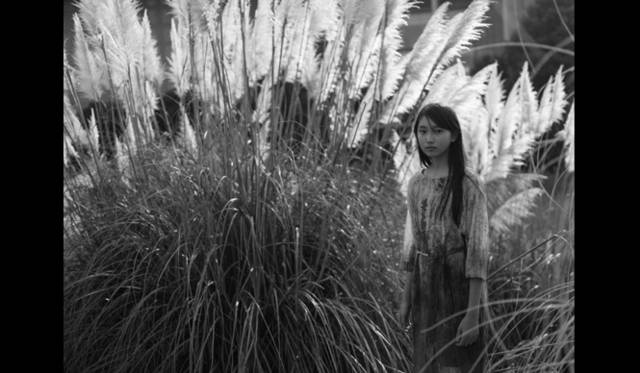 <strong>ART｜立木義浩写真展 『小女』</strong>