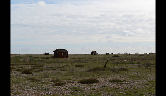 <strong>carnet de jardin｜Manabu Matsunaga</strong> The Desolation of Dungeness