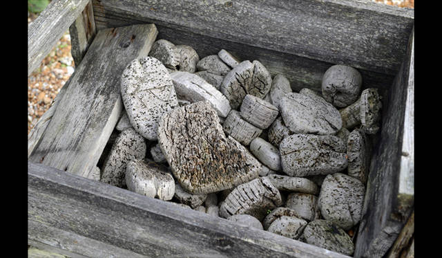 <strong>carnet de jardin｜Manabu Matsunaga</strong> Trees Like Pumice