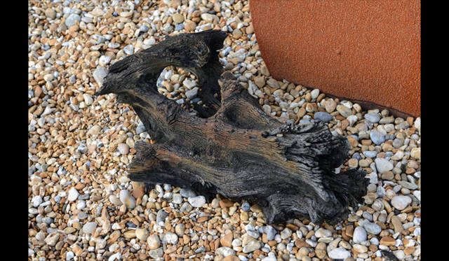 <strong>carnet de jardin｜Manabu Matsunaga</strong> Driftwood Colored by Weathering