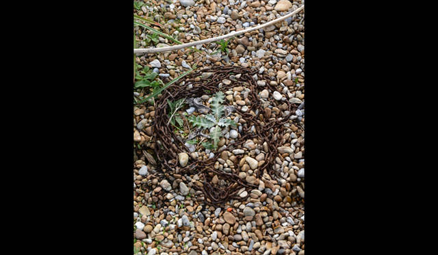 <strong>carnet de jardin｜Manabu Matsunaga</strong> A Trap?