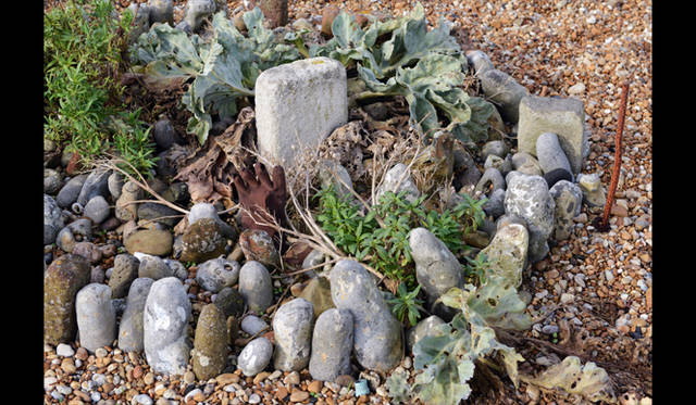 <strong>carnet de jardin｜Manabu Matsunaga</strong> A Grave