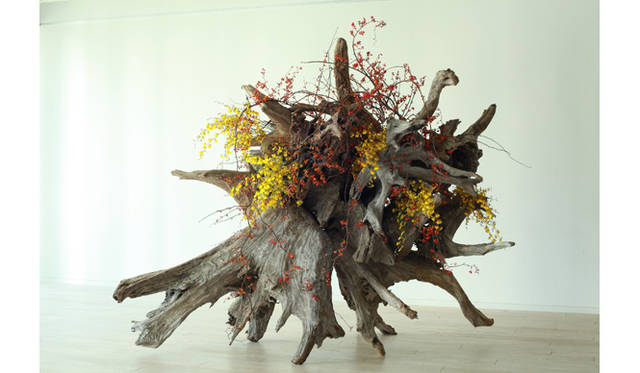 <strong>ART｜『plantica_Nomadic』 Exhibition</strong>
