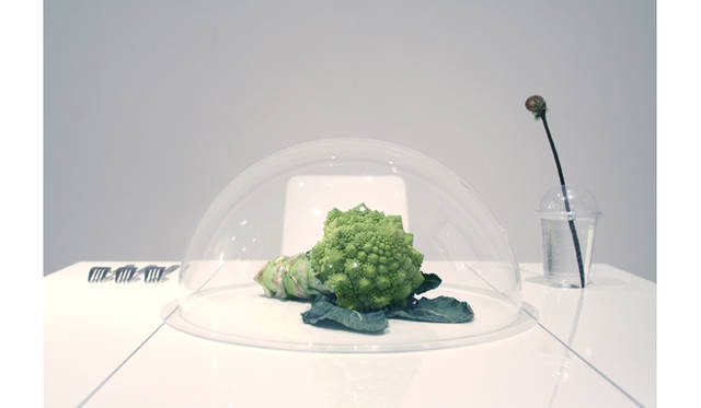 <strong>ART｜『plantica_Nomadic』 Exhibition</strong>