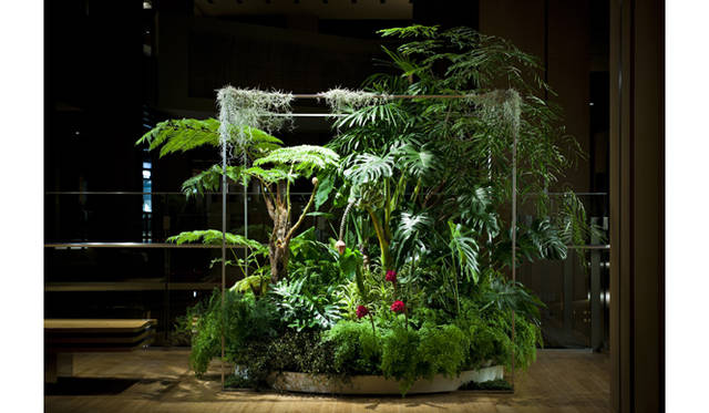 <strong>ART｜『plantica_Nomadic』 Exhibition</strong>
