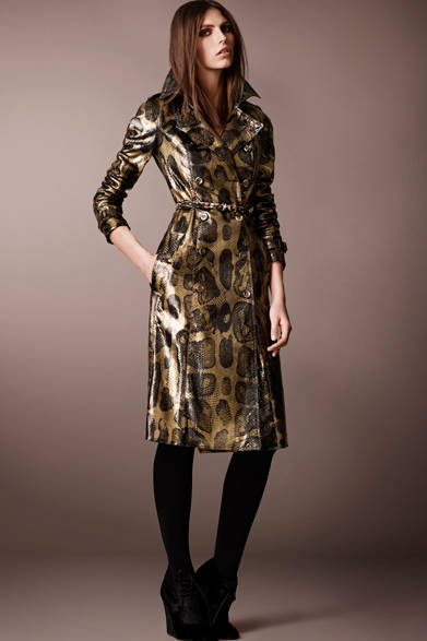 2013 Autumn/Winter Pre-Collection