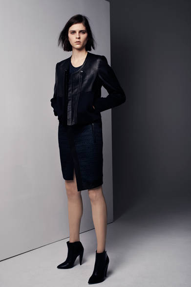 2013 Fall/Winter Pre-Collection 