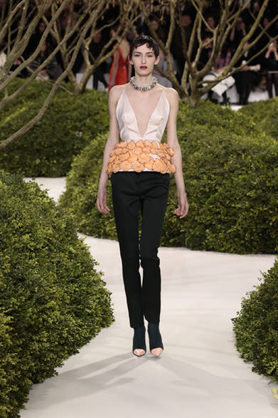 <strong>Dior</strong> 2013 Spring/Summer Haute Couture Collection