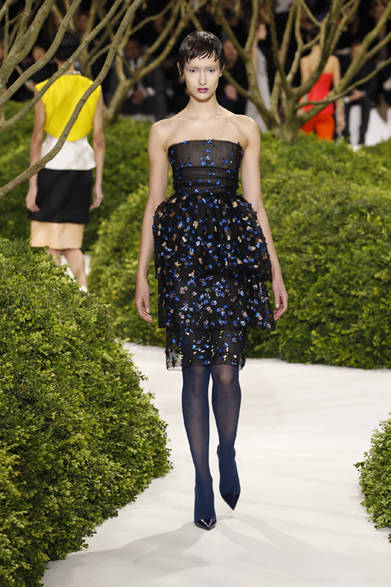 <strong>Dior</strong> 2013 Spring/Summer Haute Couture Collection